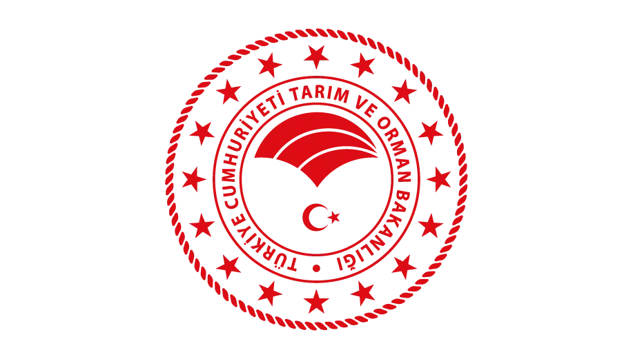 Ankara asansör montaj ve bakım referans projesi 9